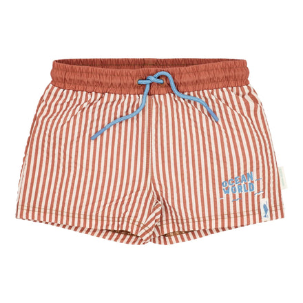 Little Dutch Swim Shorts | Ocean Brown Stripes