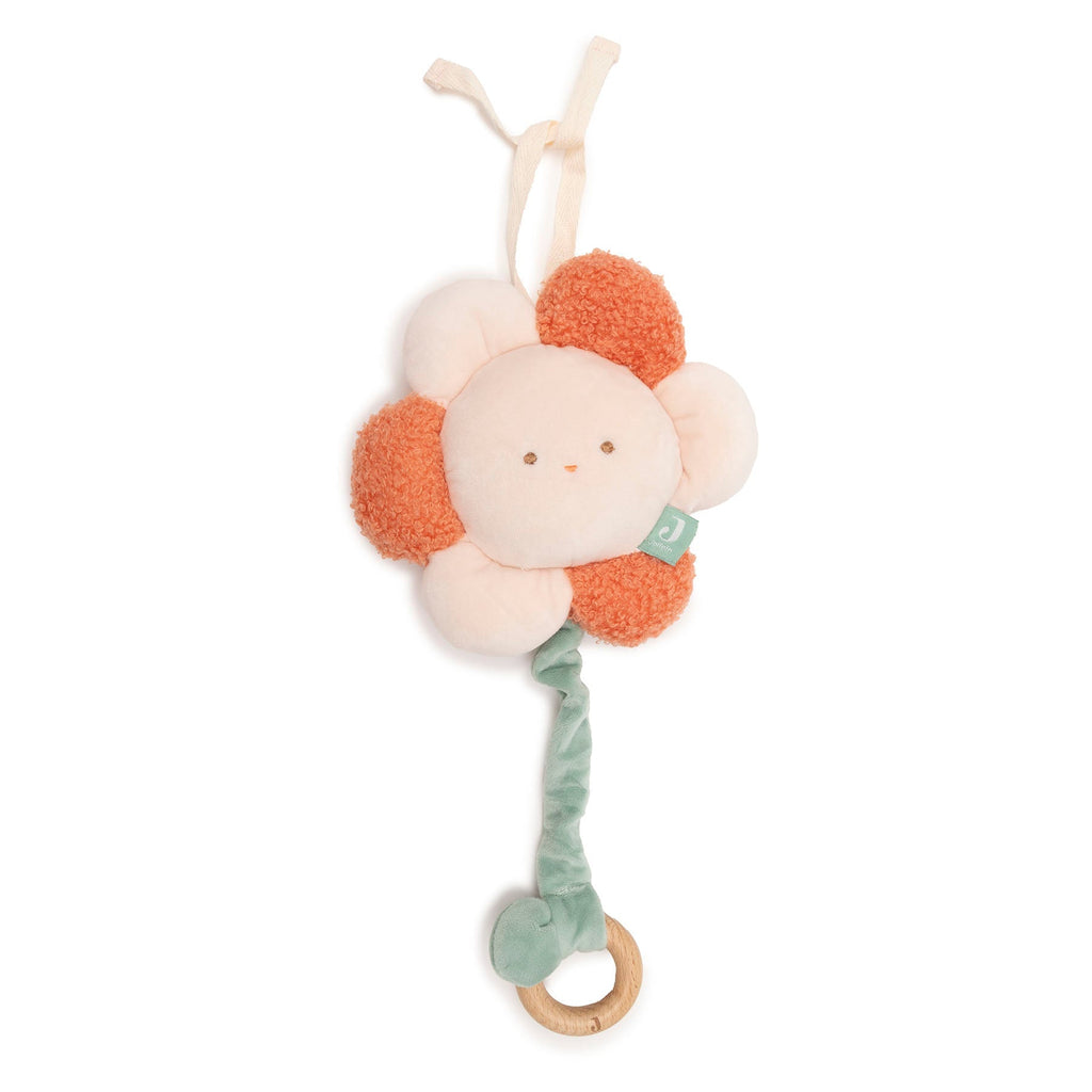 Jollein Music Hanger Pretty Picnic Flower