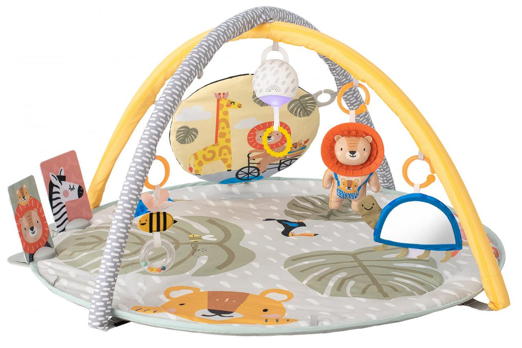 Taf Toys Savannah Activity Gym