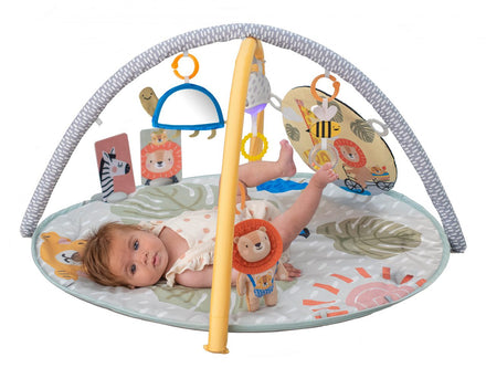 Taf Toys Savannah Activity Gym