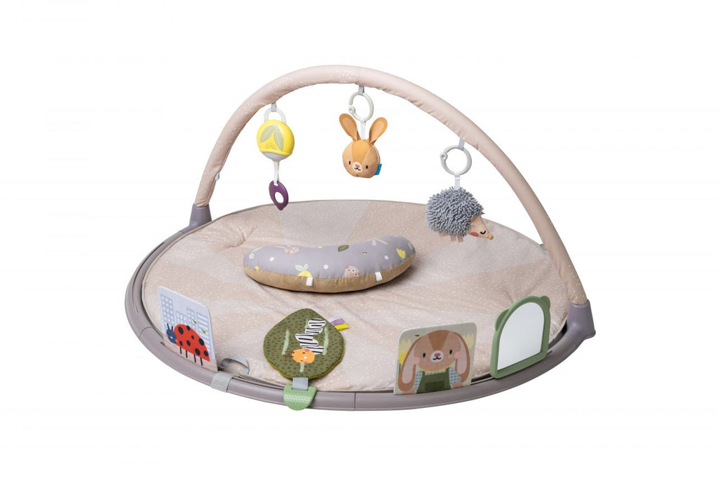 Taf Toys Tummy Time Activity Gym