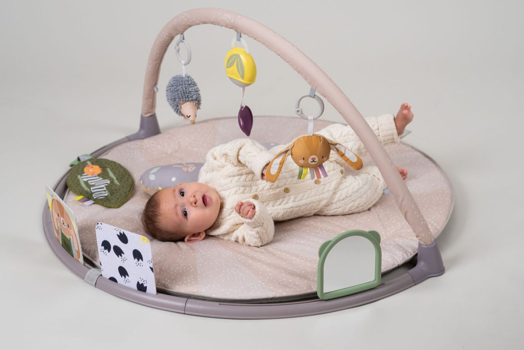 Taf Toys Tummy Time Activity Gym