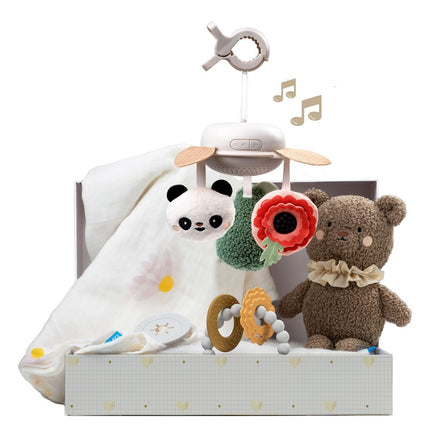 Taffeta Toys Newborn Luxury Gift With Baby Toys