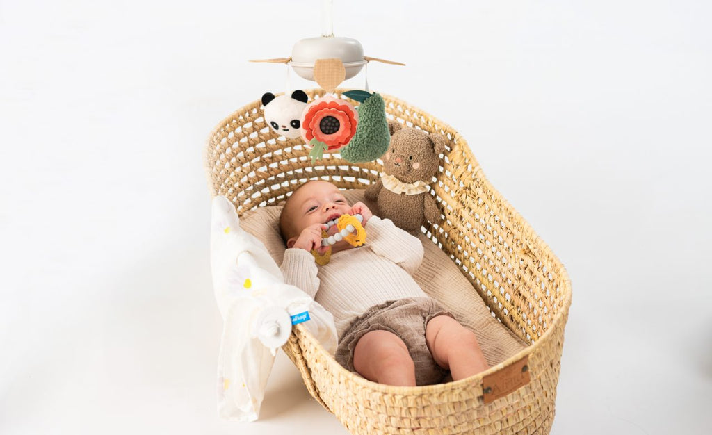 Taffeta Toys Newborn Luxury Gift With Baby Toys