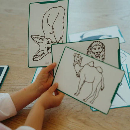 Kidywolf Refills for Kidydraw Mini Tablets | Animals Around the World - Oceans & Pirates