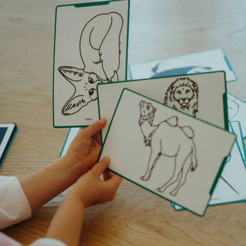 Kidywolf Refills for Kidydraw Mini Tablets | Animals Around the World - Oceans & Pirates