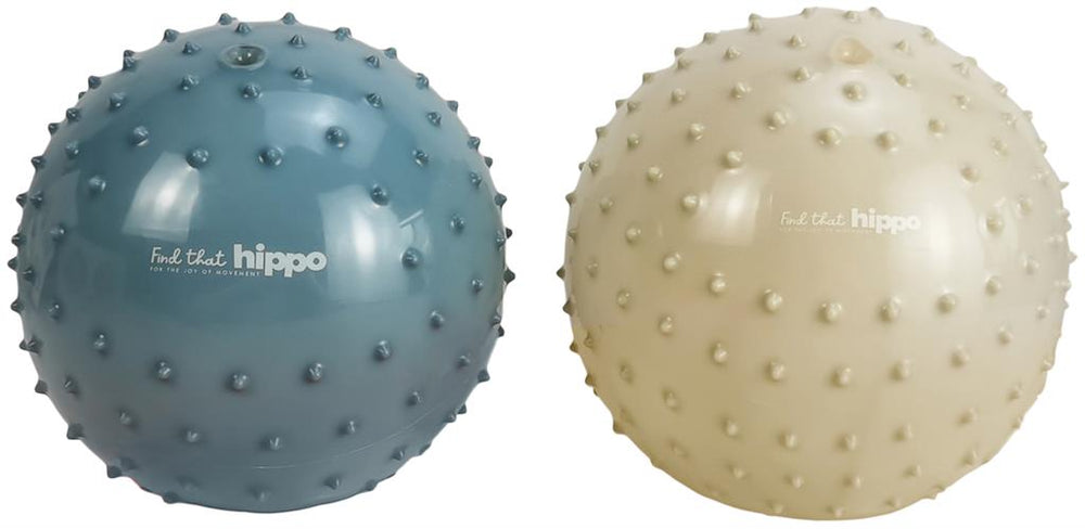 Find That Hippo Sensory Balls Set 2 | Metallic Blue /Khaki