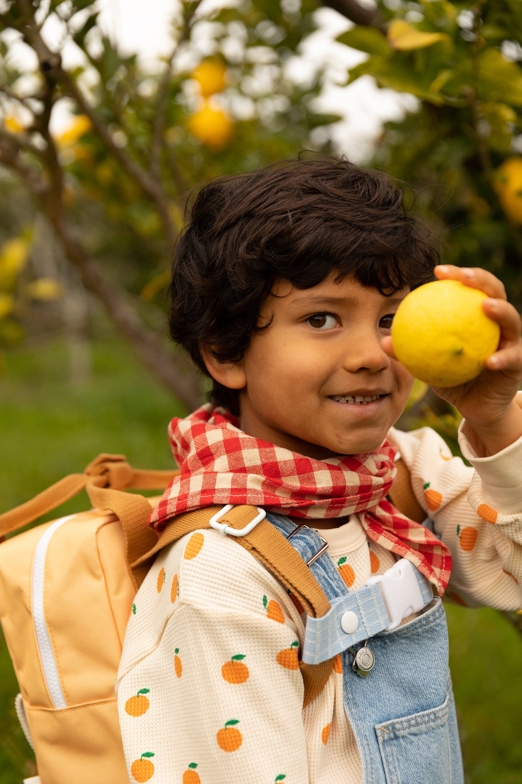 Sticky Lemon Backpack Small | Farmhouse Envelope Pear Jam