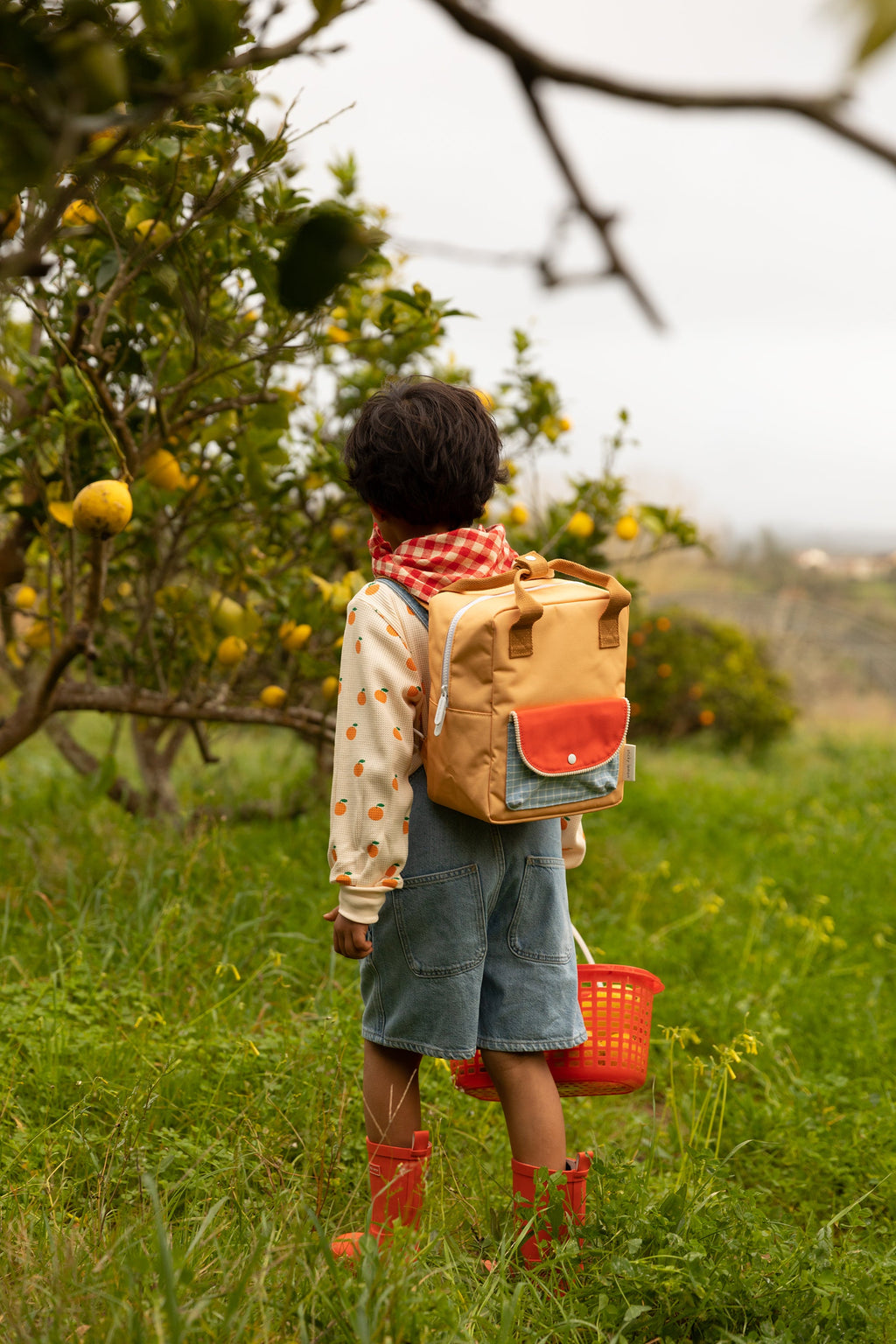 Sticky Lemon Backpack Small | Farmhouse Envelope Pear Jam