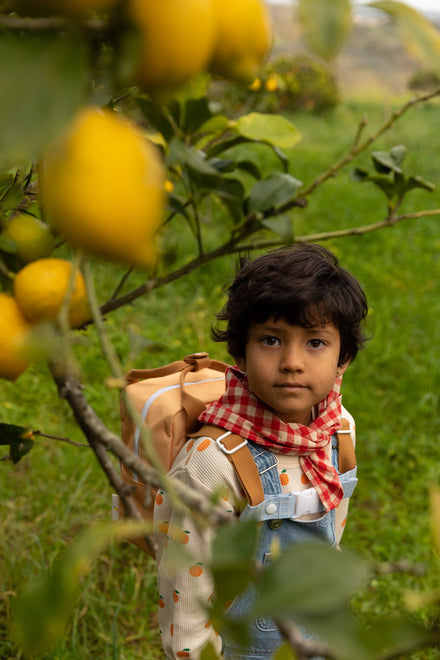 Sticky Lemon Backpack Small | Farmhouse Envelope Pear Jam