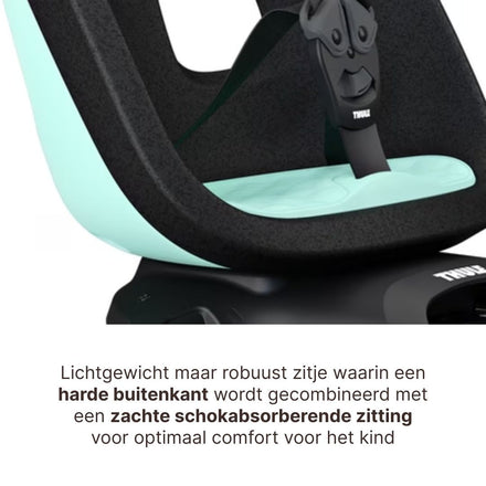 Thule Yepp Nexxt 2 Maxi Bicycle Seat Rear Frame Mount I Mint Green