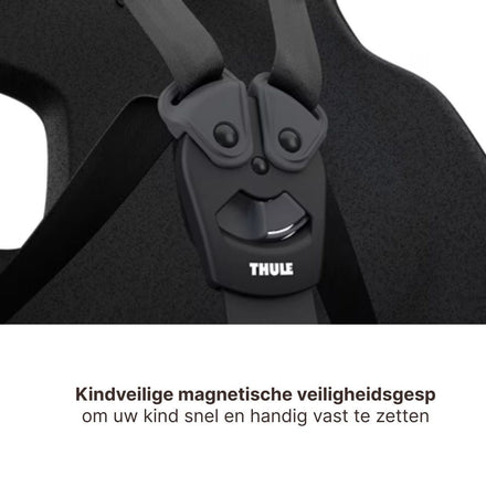 Thule Yepp Nexxt 2 Maxi Bicycle Seat Rear Frame Mounting I Aquamarin