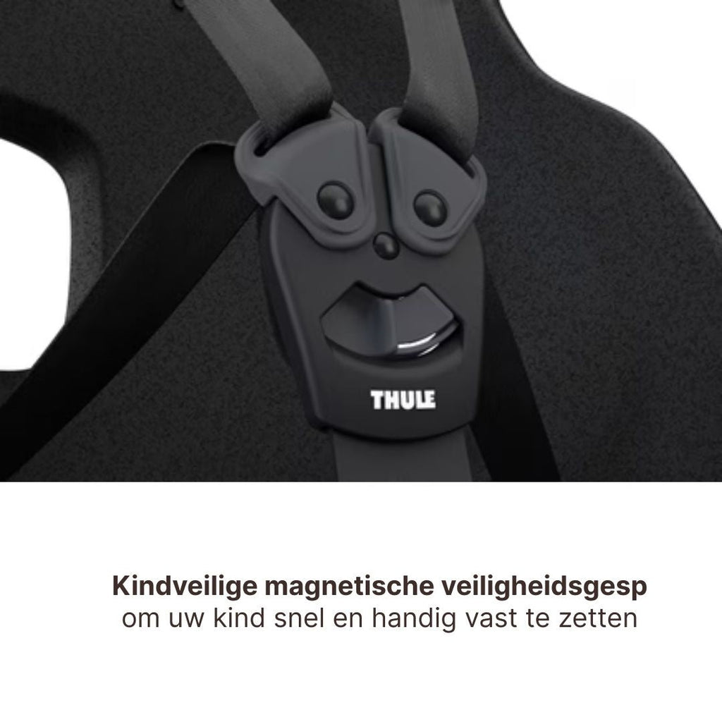 Thule Yepp Nexxt 2 Maxi Bicycle Seat Rear Frame Mount I Mint Green