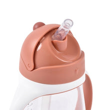 Béaba Drinkbeker Met Rietje 300ml | Terracotta