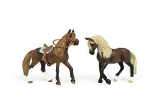 Schleich Paardenclub Startersset