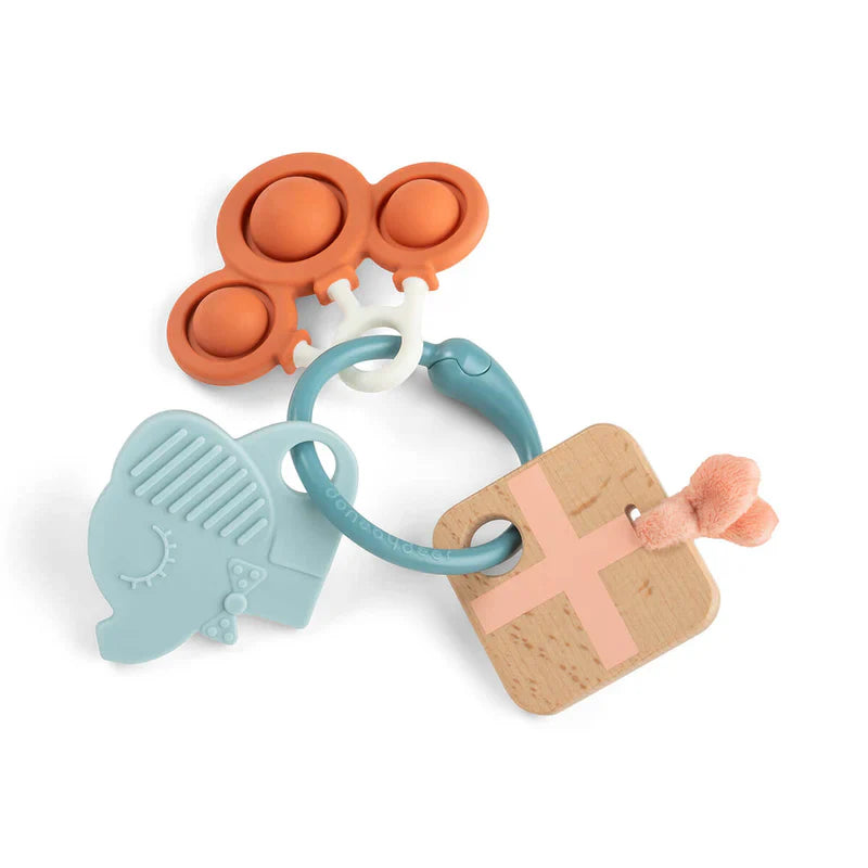 Done By Deer Sensory Activities Ring | Celebration Mix
