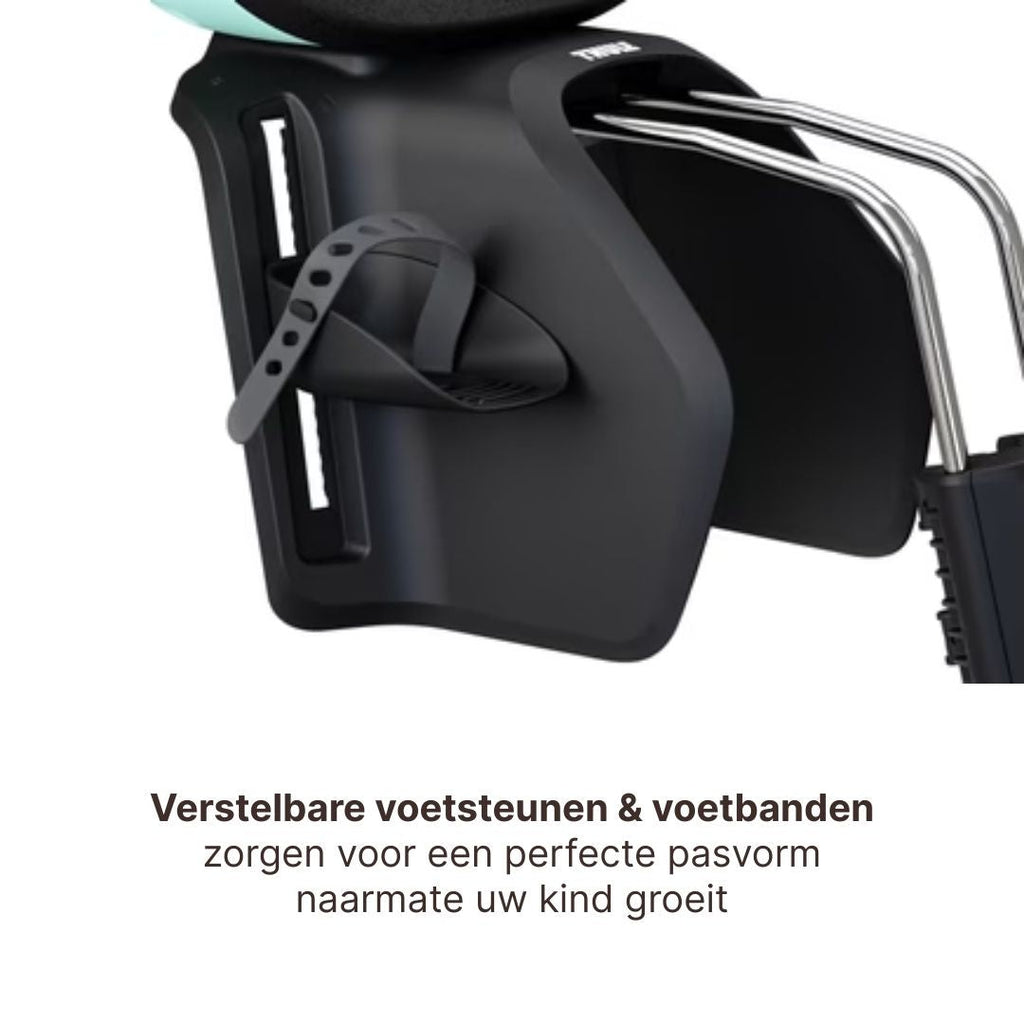 Thule Yepp Nexxt 2 Maxi Bicycle Seat Rear Frame Mount I Mint Green