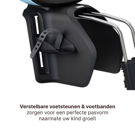 Thule Yepp Nexxt 2 Maxi Bicycle Seat Rear Frame Mounting I Aquamarin