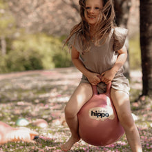 Find That Hippo Bouncing Ball Hopper Ball | Turkish Rose