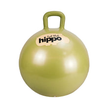 Find That Hippo Bouncing Ball Hopper Ball | OldGold