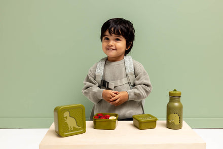 Trixie Snack Box Nesting 3PCS | Mr. Dino