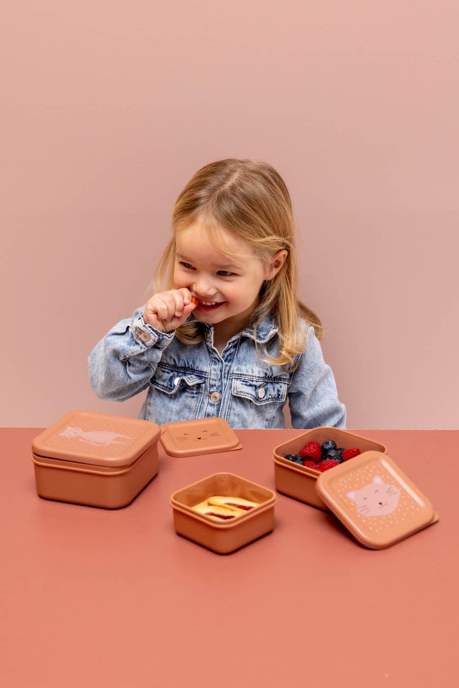 Trixie Snack Box Nesting 3PCS | Mrs. Cat