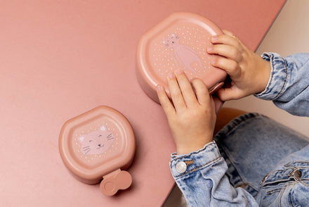 Trixie Snack Box With Clip 2PCS | Mrs. Cat