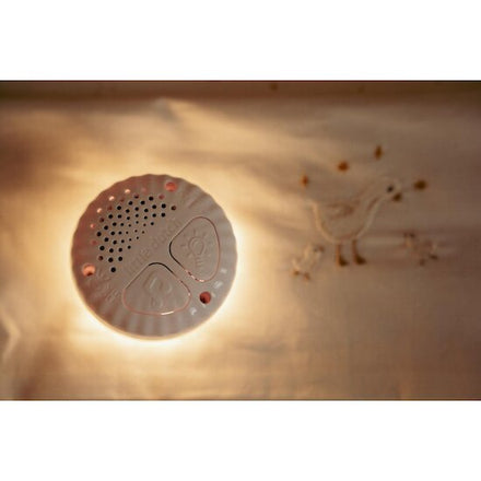 Little Dutch Cuddly Rabbit Light & Sound