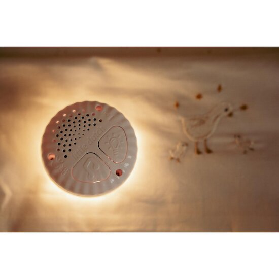 Little Dutch Cuddly Rabbit Light & Sound