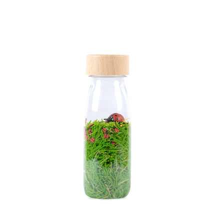 Petit Boum Sensory Bottle | Ladybugs