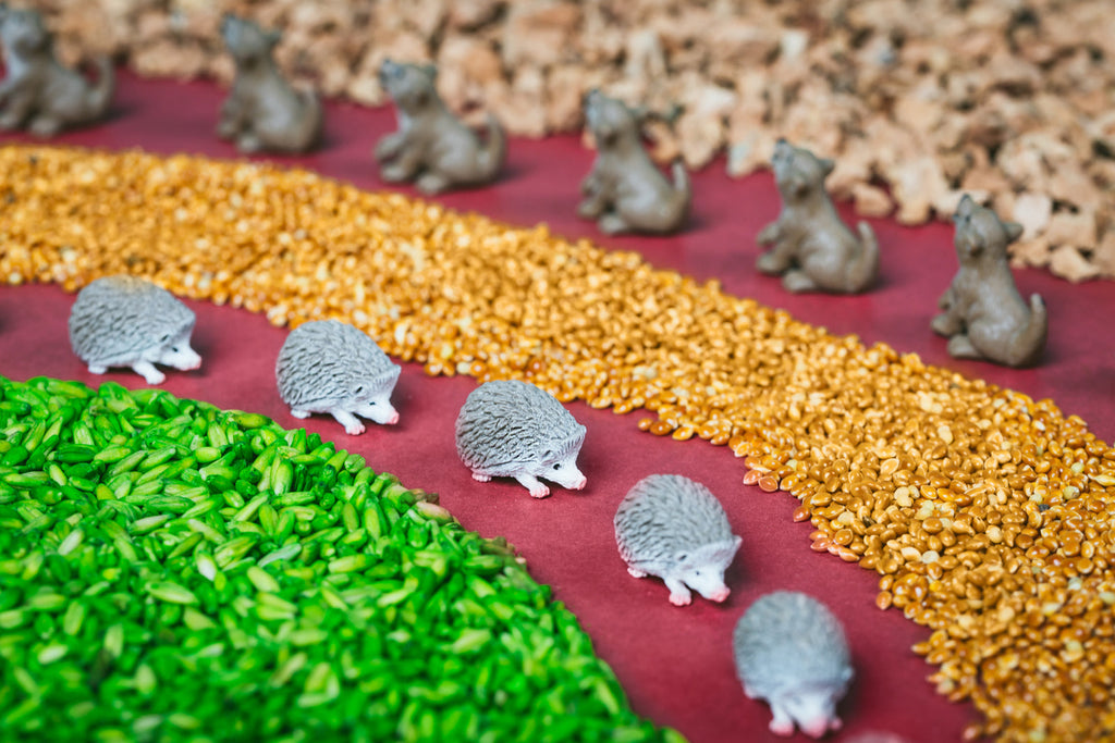 Petit Boum Sensory Bottle | Forest