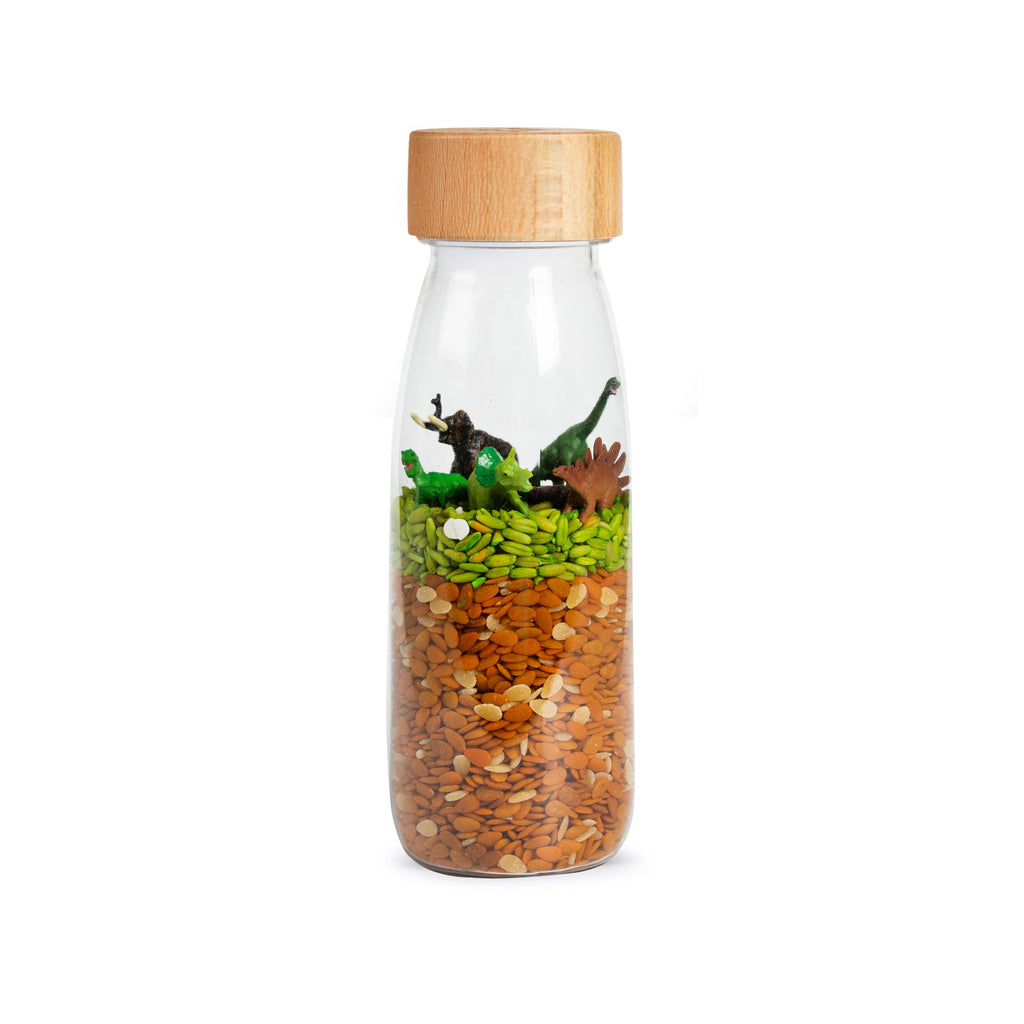 Petit Boum Sensory Bottle | Jurrasic