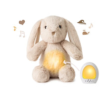 Cloud B Sleep Aid Lovelight Bunny