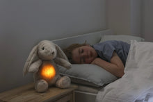 Cloud B Sleep Aid Lovelight Bunny