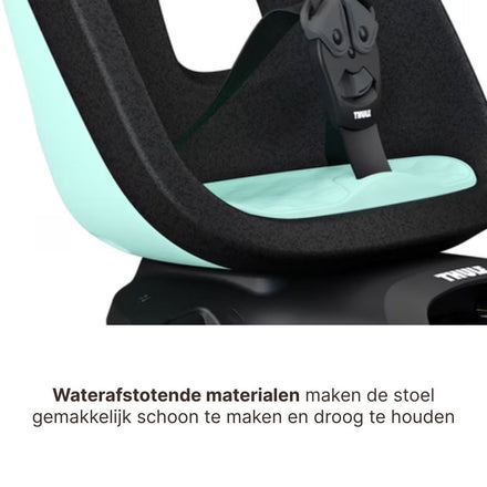 Thule Yepp Nexxt 2 Maxi Bicycle Seat Rear Frame Mount I Mint Green