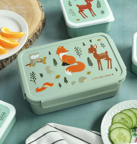 A Little Lovely Company Lunch Box With Dividers | Forest Friends