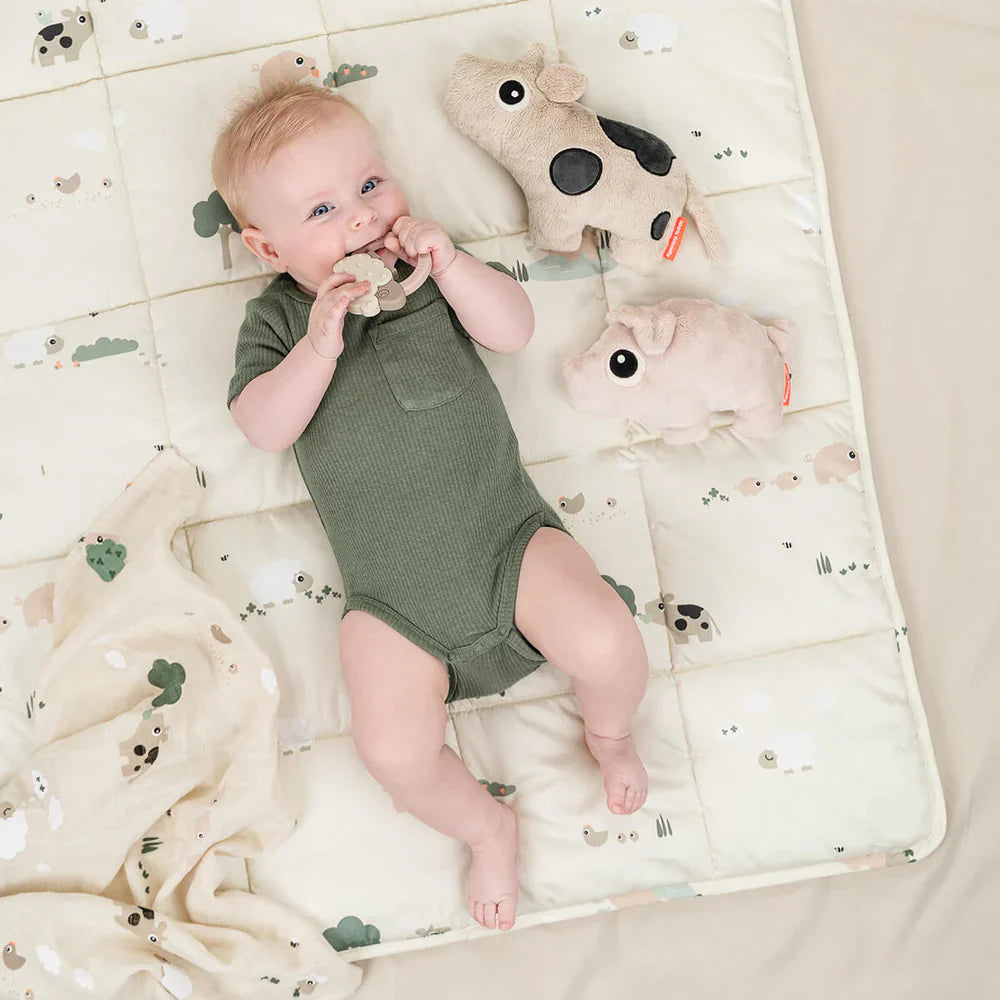 Done By Deer Cuddly Toy Pigee Powder