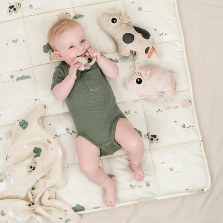 Done By Deer Cuddly Toy Pigee Powder