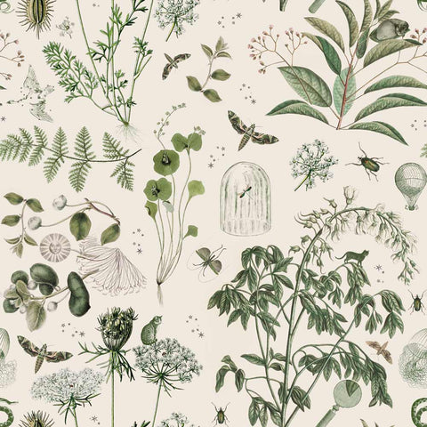 Dekornik Wallpaper Green Botanical Stories