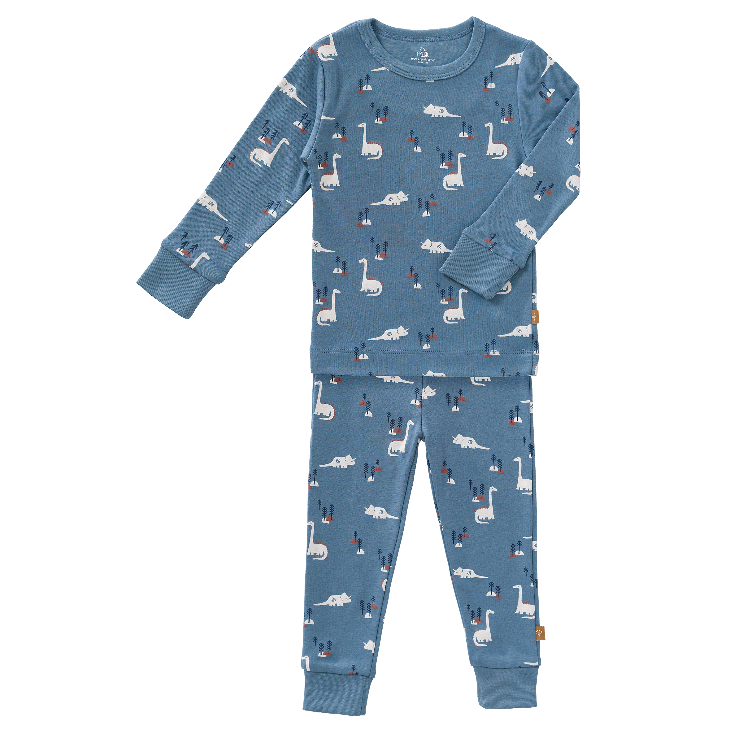 Fresk 2-piece pajamas | Dino