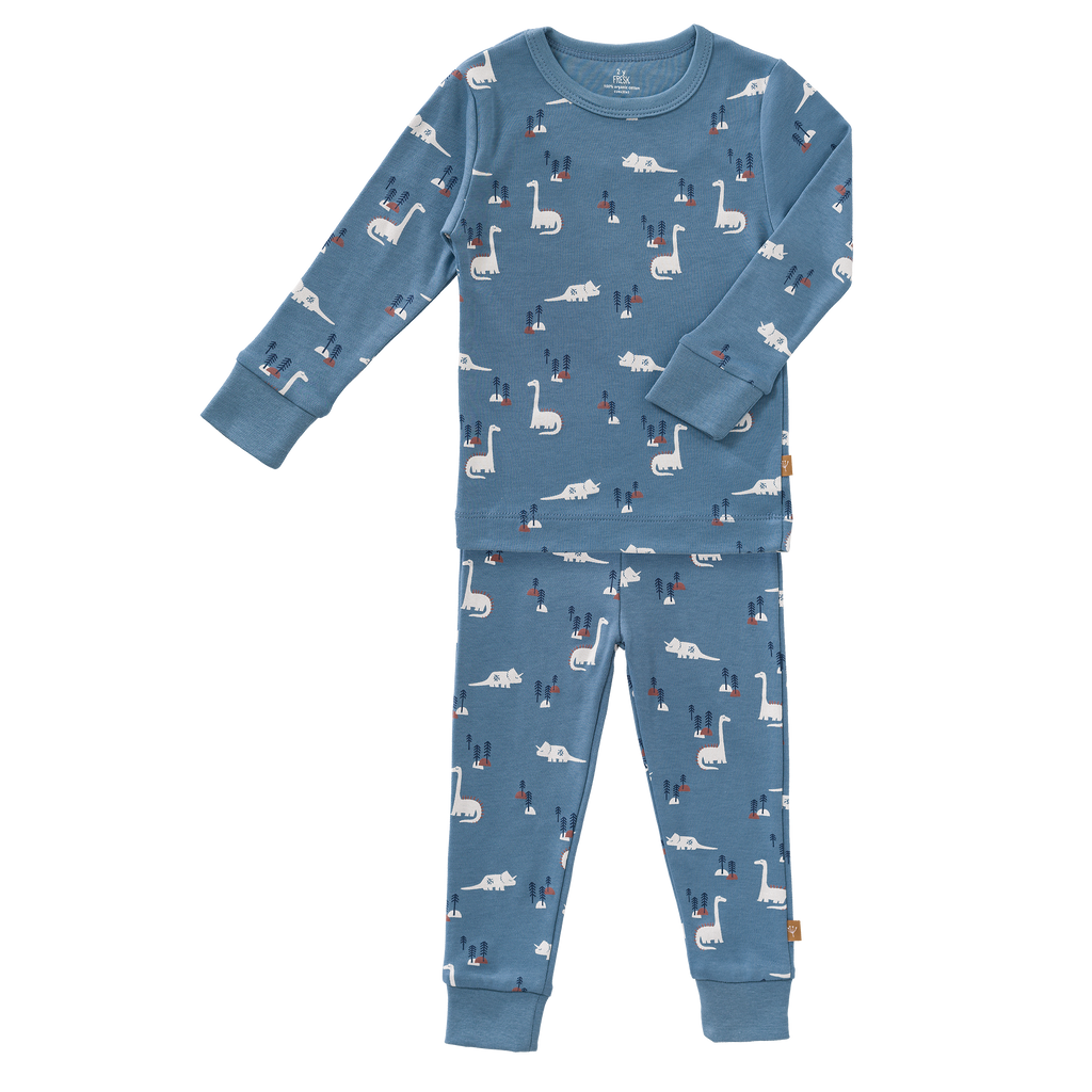 Fresk 2-piece pajamas | Dino