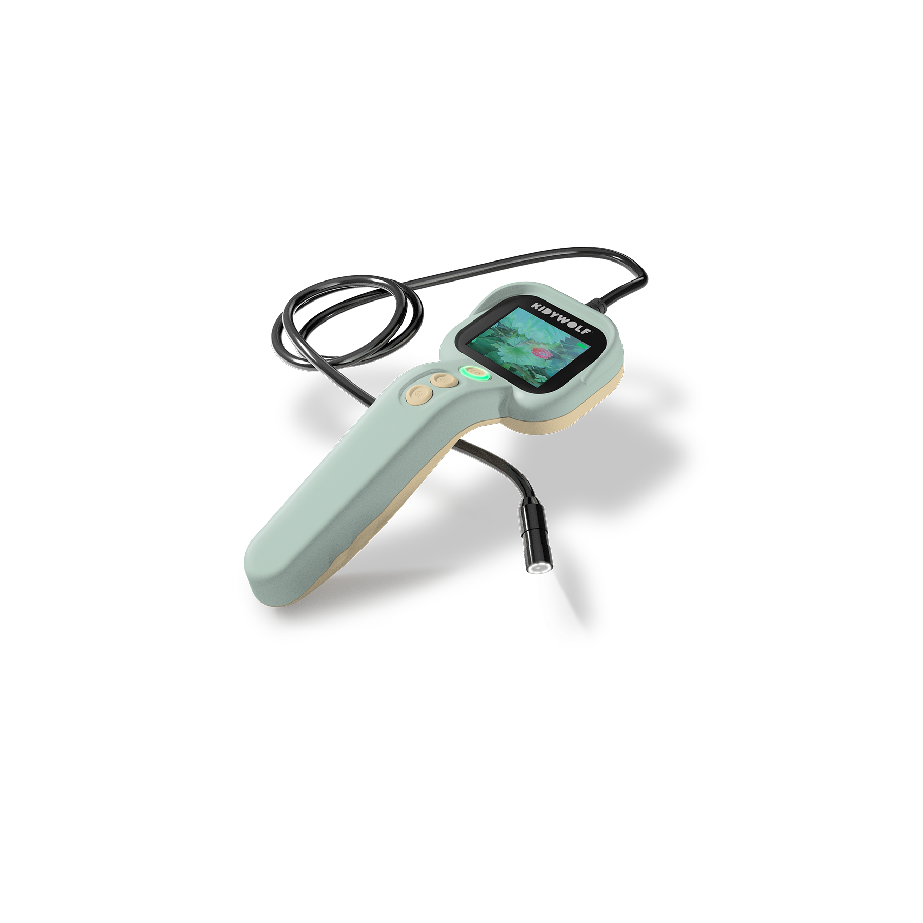 Kidywolf Kidyexplore