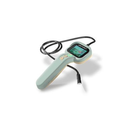 Kidywolf Kidyexplore