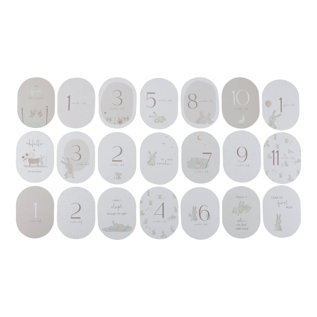 Little Dutch Milestone Cards | My First Year Baby Bunny