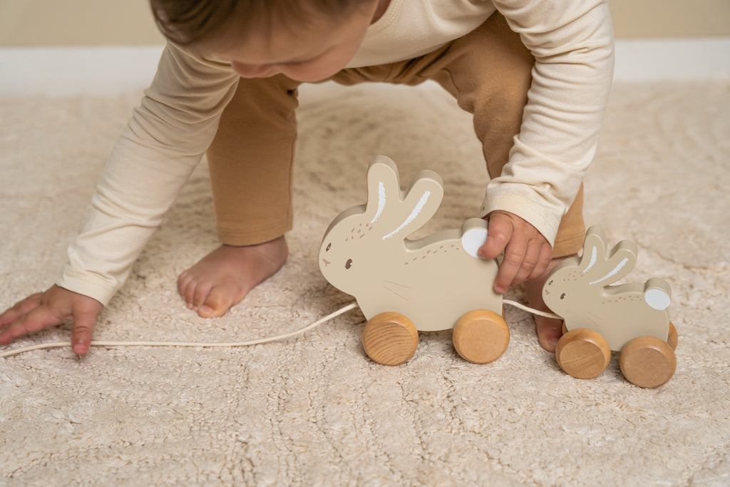 LIttle Dutch Pull Toy | Baby Bunnie