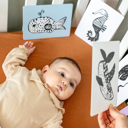 Mini Coco Sensory Cards Baby Flash Cards | Safari