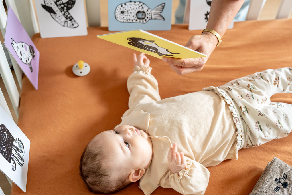 Mini Coco Sensory Cards Baby Flash Cards | Safari