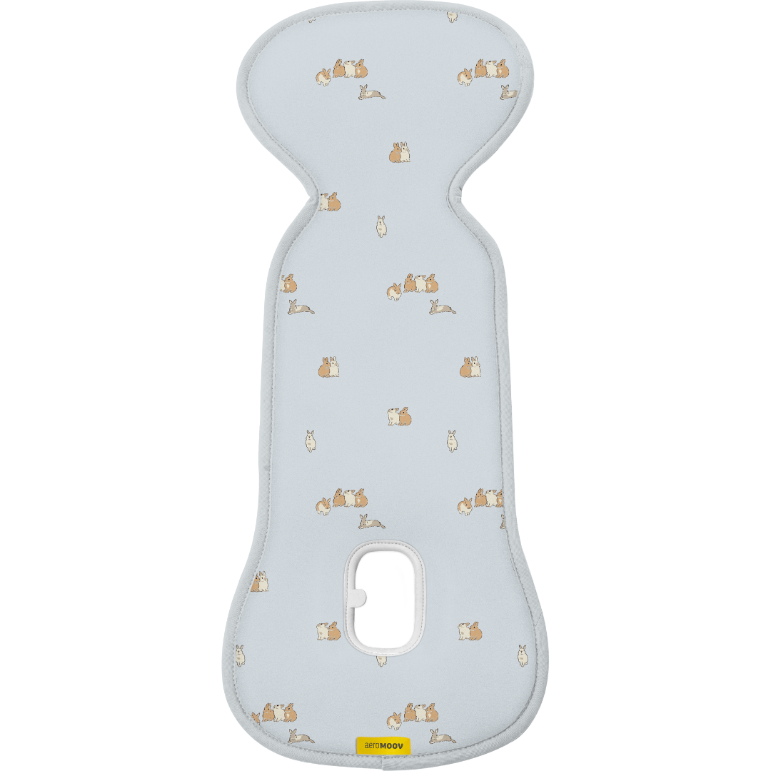 Aeromoov Air Layer Group 0 Universal Maxi Cosi | Bunny