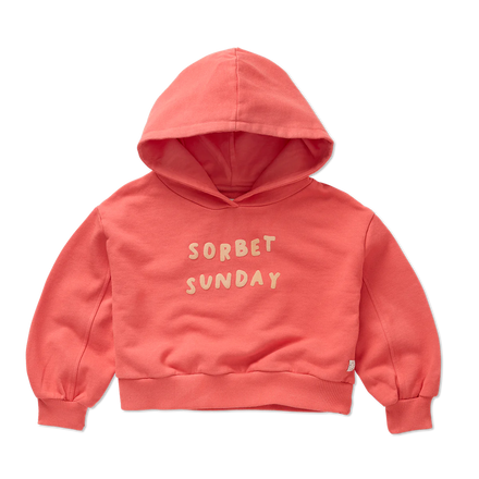 Freckle & Sprout Cropped Hooded Sweatshirt | Rose Petal