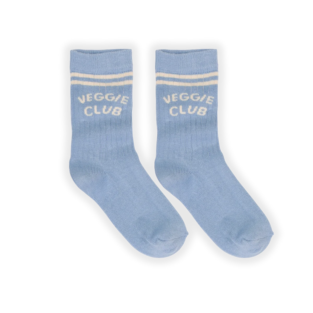 Freckle & Sprout Sports Socks Striped Breezy Blue | Breezy Blue